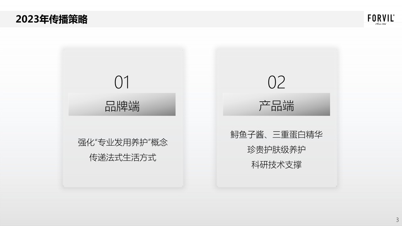 2023护发产品年度传播方案 第3页