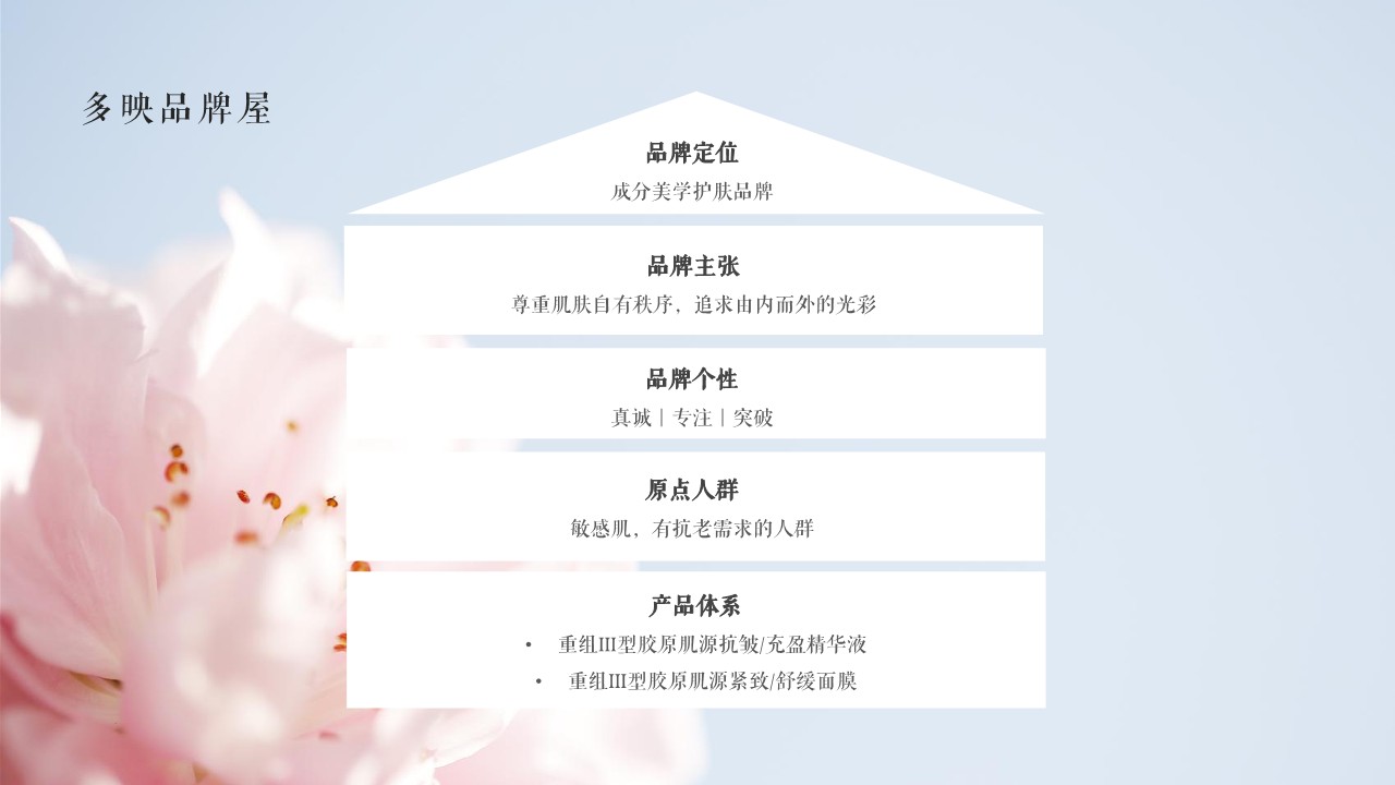 护肤品品牌多映策略及新品上市传播案【品牌传播】 第3页