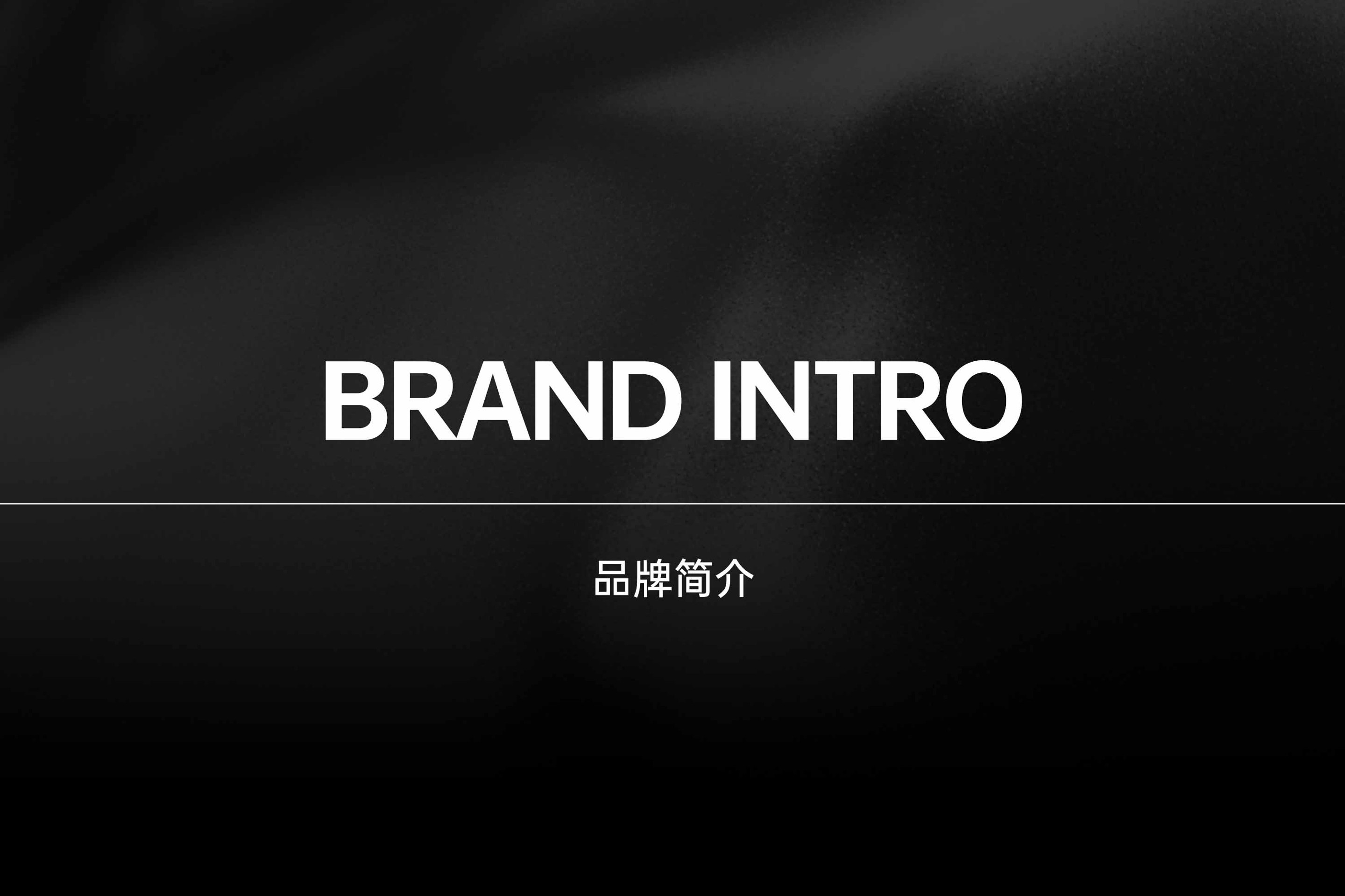 独立设计师女装品牌定位手册 第3页
