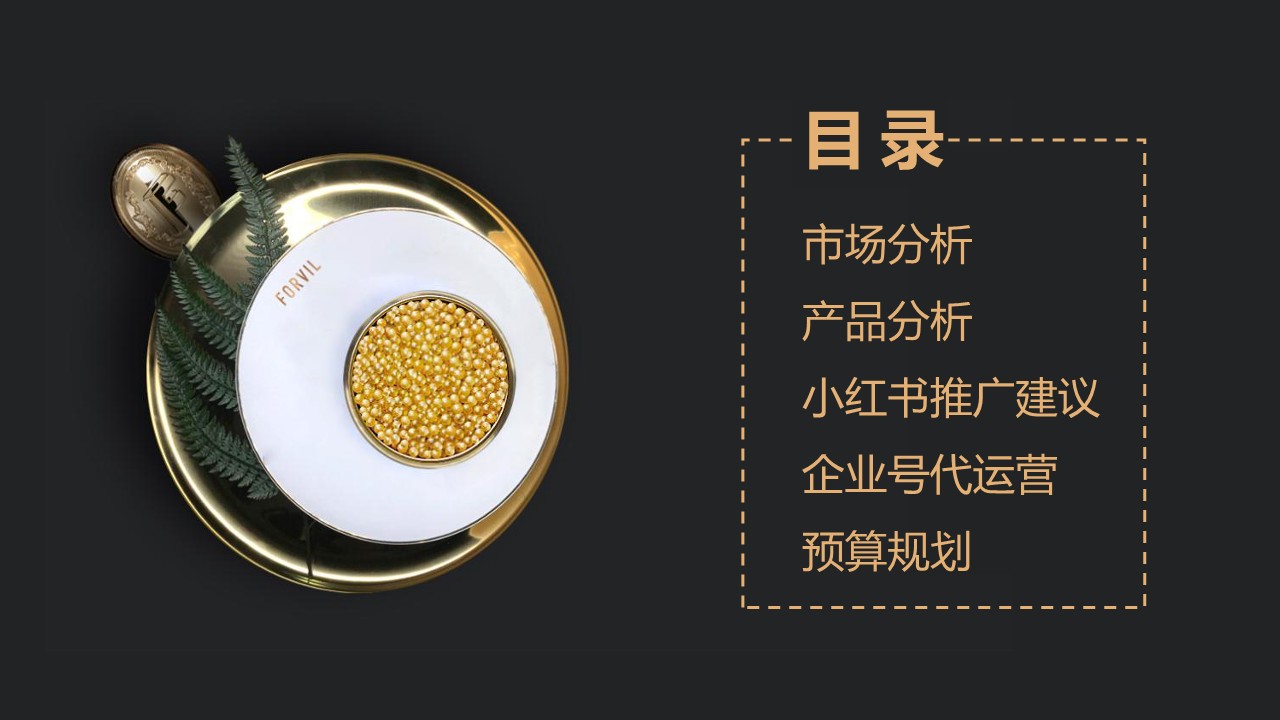 温莎森林-鱼子酱安瓶发膜 小红书推广方案 第2页