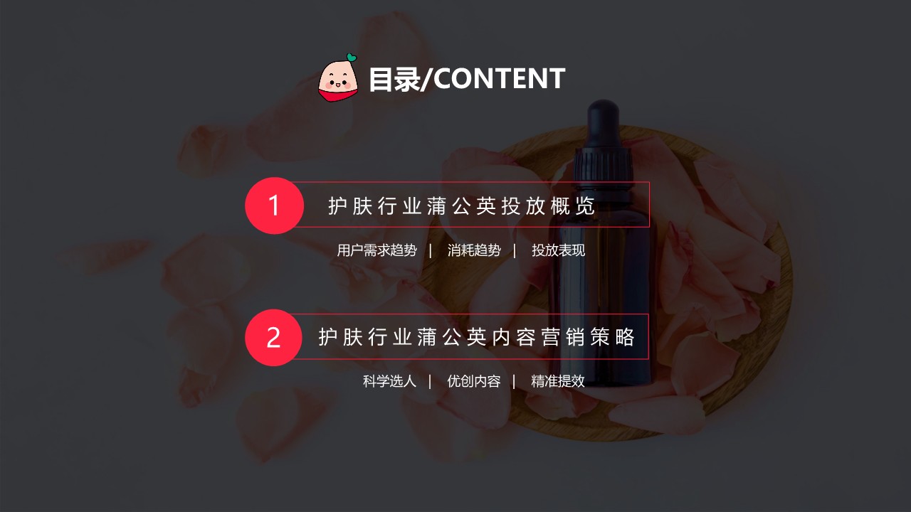 小红书蒲公英护肤行业投放指南【互联网】【通案】 第2页