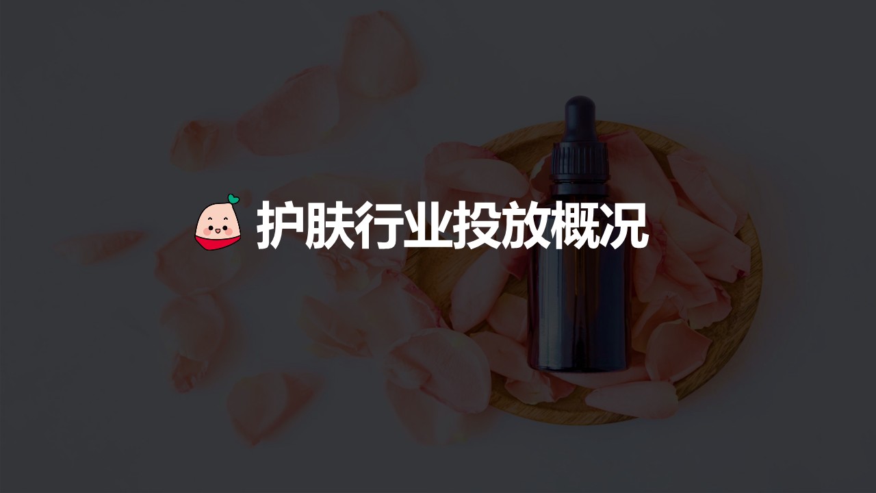 小红书蒲公英护肤行业投放指南【互联网】【通案】 第3页