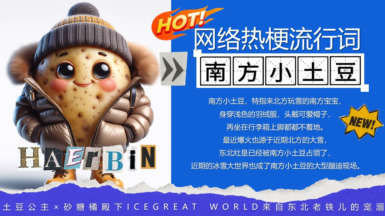 2024东北特色冰雪嘉年华土豆公主&times;砂糖橘殿下&times;来自东北老铁儿的宠溺打卡冰雪王国主题活动策划案 第2页