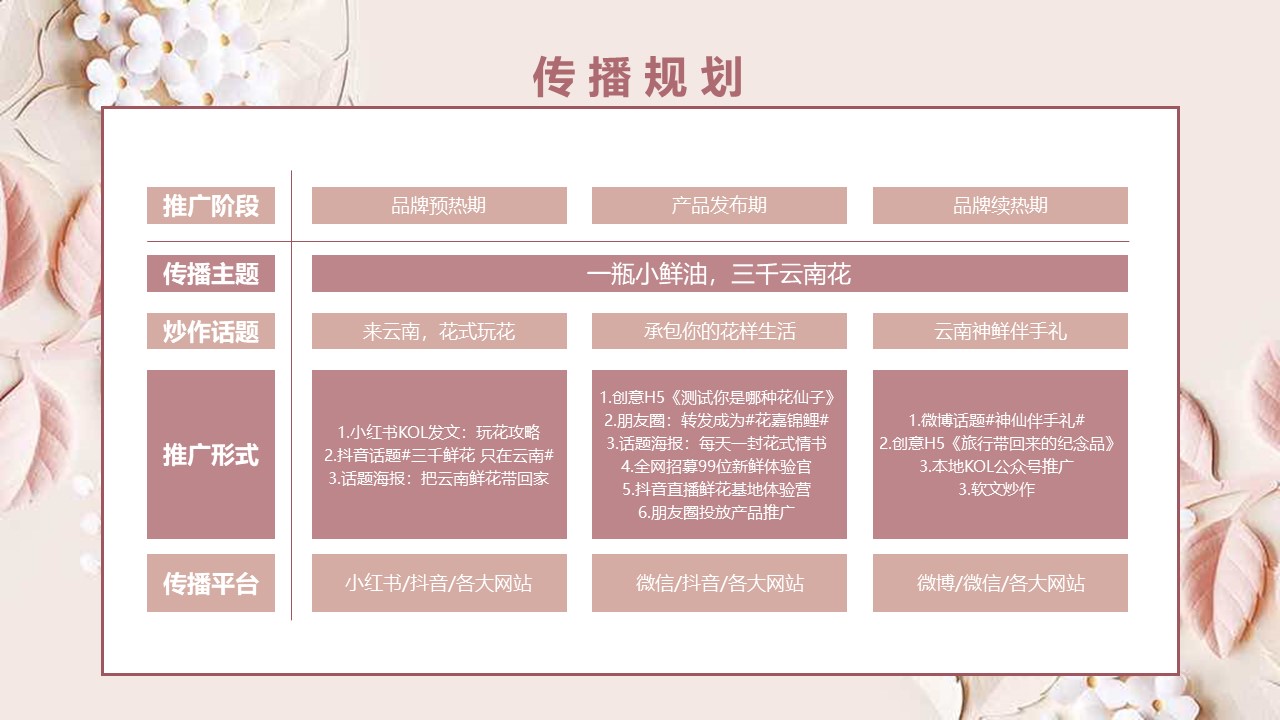 护肤精油品牌新媒体推广方案【美妆护肤】【种草营销】 第2页