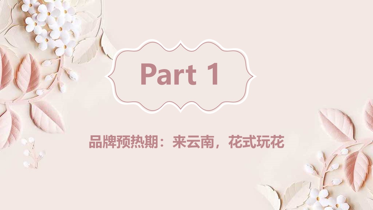 护肤精油品牌新媒体推广方案【美妆护肤】【种草营销】 第3页