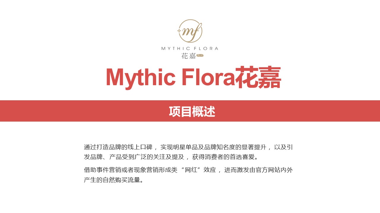 护肤品品牌新品线上全媒体渠道推广方案 第2页