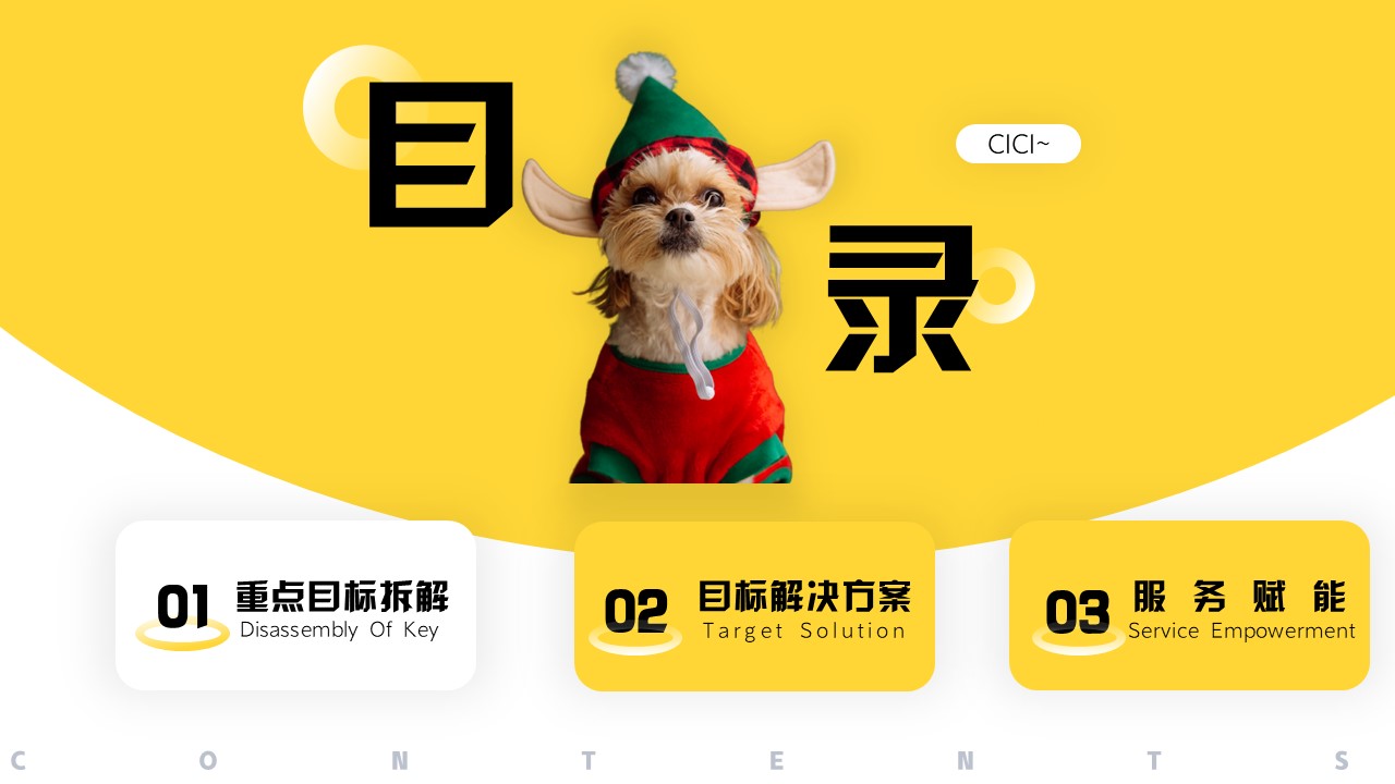 宠物粮品牌整合营销服务方案【狗粮】【种草带货】 第2页
