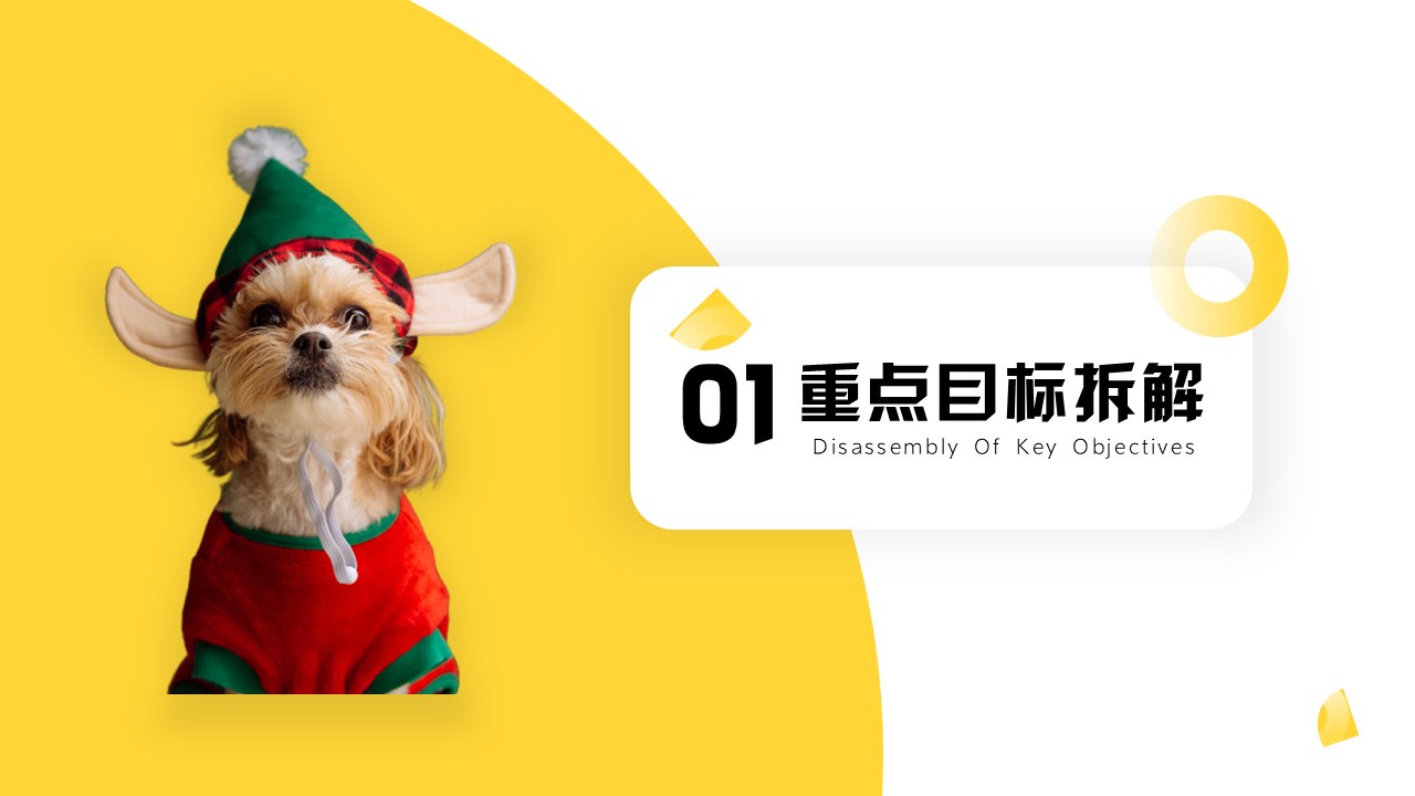 宠物粮品牌整合营销服务方案【狗粮】【种草带货】 第3页