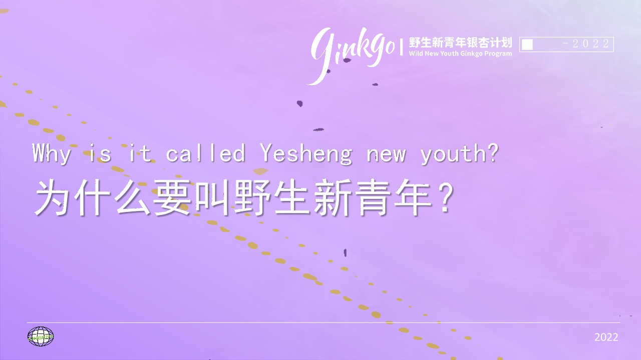 城市野生新青年音乐节活动策划方案 第2页