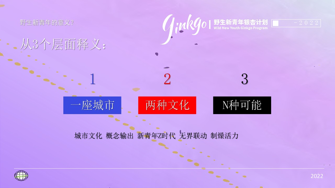 城市野生新青年音乐节活动策划方案 第3页