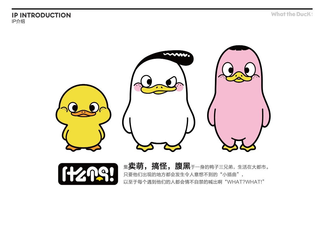 W.T.DUCK什么鸭品牌策划 第3页