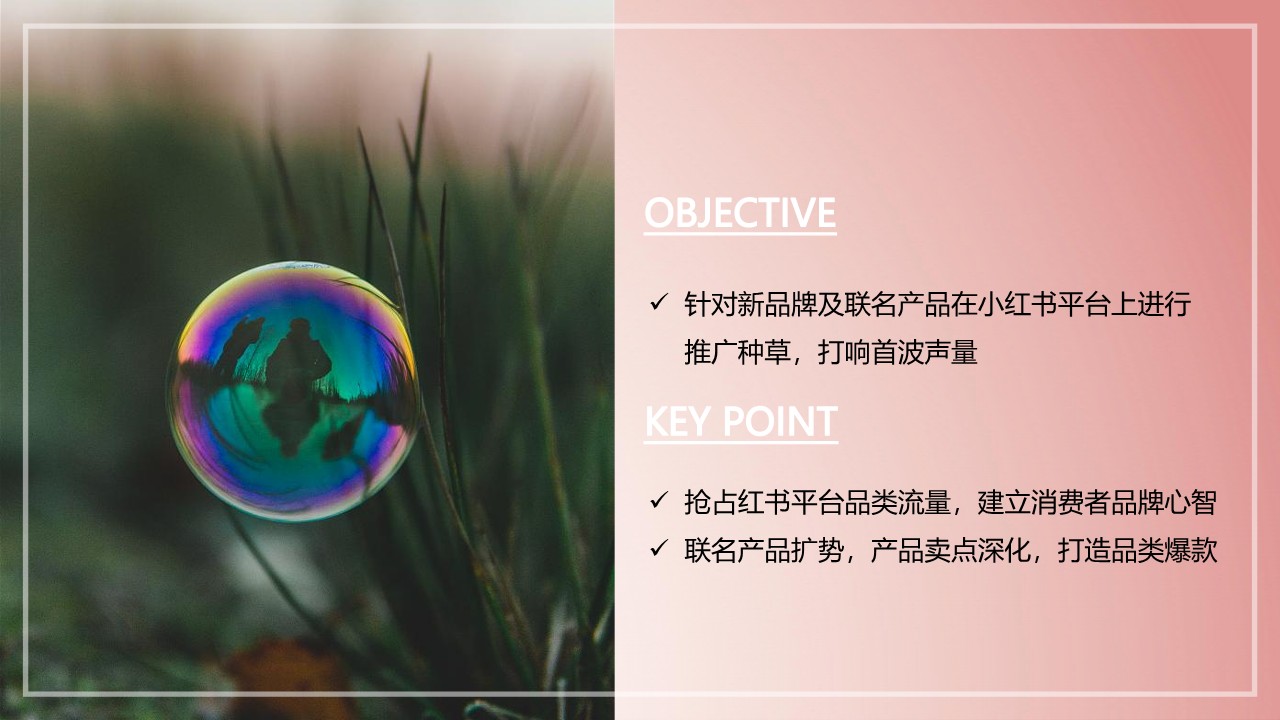 泡泡因子小红书种草营销方案 第2页