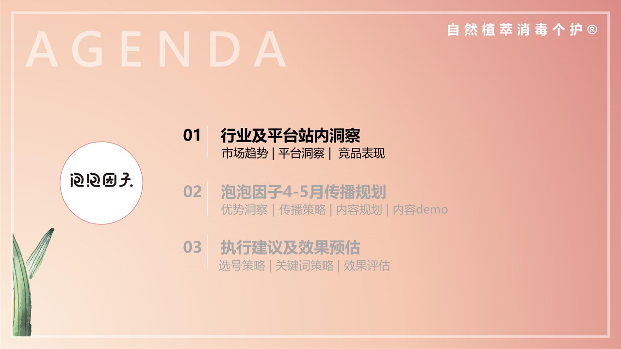 泡泡因子小红书种草营销方案 第3页