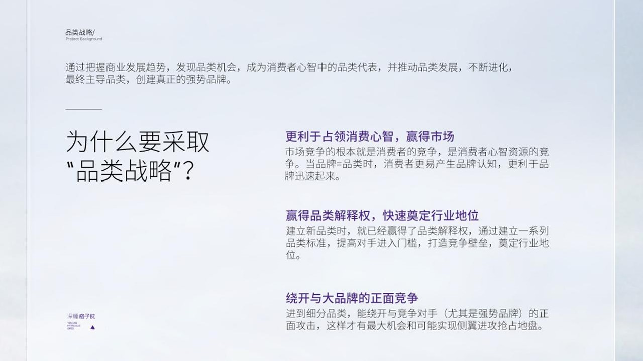 翼眠深睡格子品牌超级体系 第3页