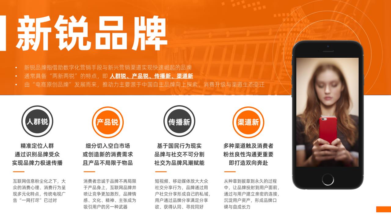 坚果套装礼盒&ldquo;新锐品牌&rdquo;传播规划方案 第3页