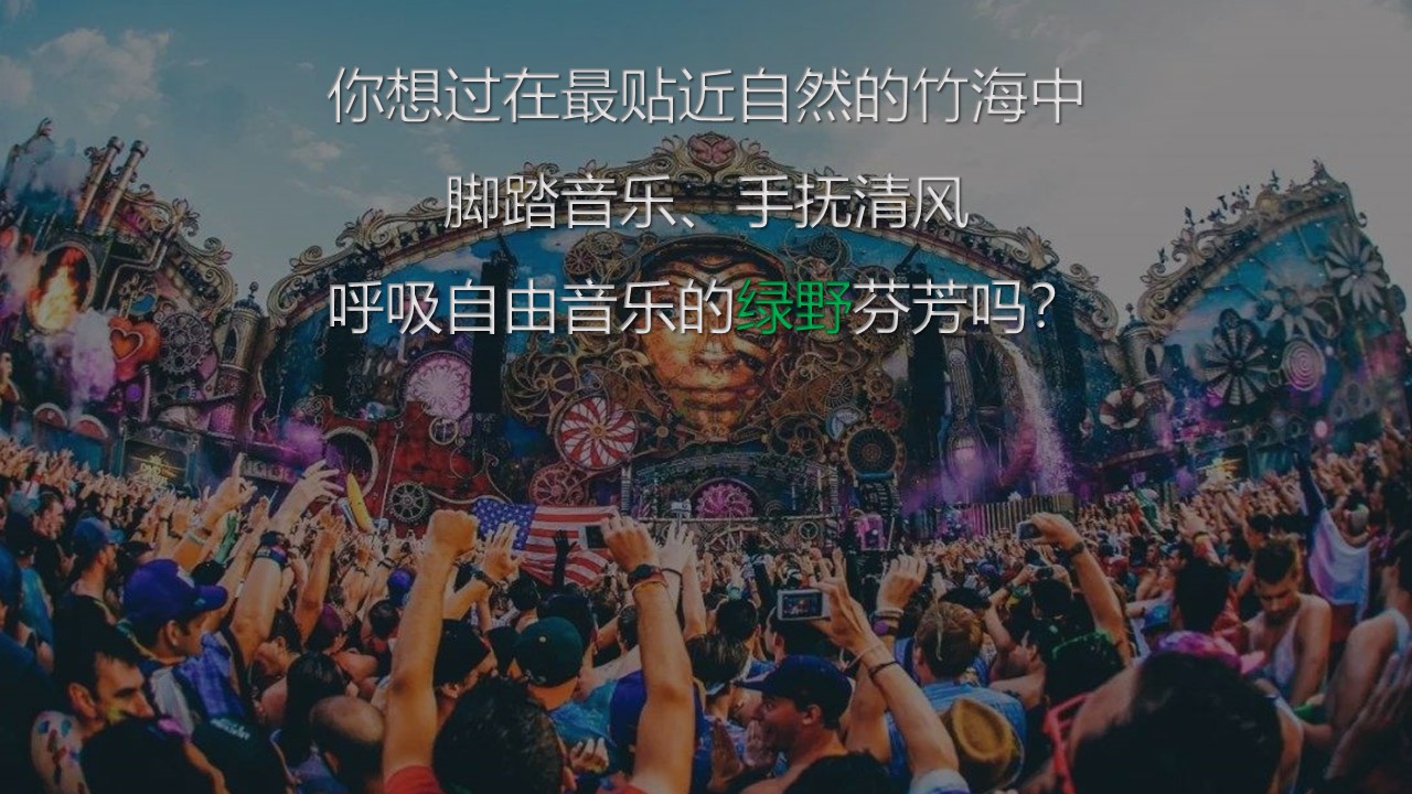2024百里竹海绿浪音乐节活动策划方案【音乐节】 第2页