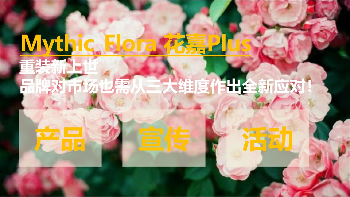 花嘉美妆护肤品牌推广方案 第2页
