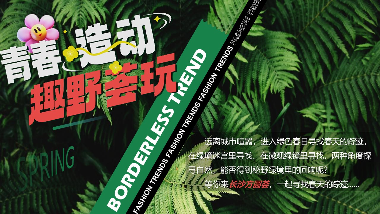 2024商业广场3-4月系列&ldquo;青春造动 趣野荟玩&rdquo;活动策划方案【春季活动】 第2页