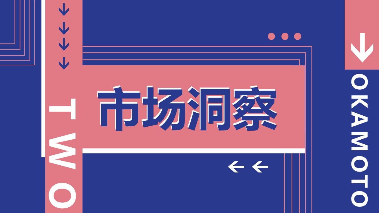 岡本季度线上种草营销方案 第3页
