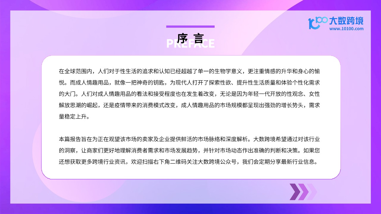 2024成人情趣用品市场洞察报告 第2页