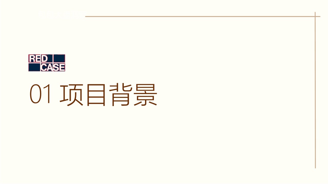 箱包品牌小红书小众人群赛道品牌策划【种草传播】 第3页