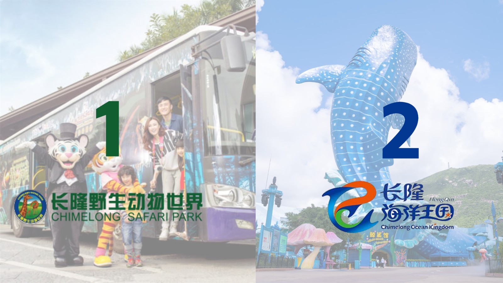 长隆乐园5月大场直播方案 第3页