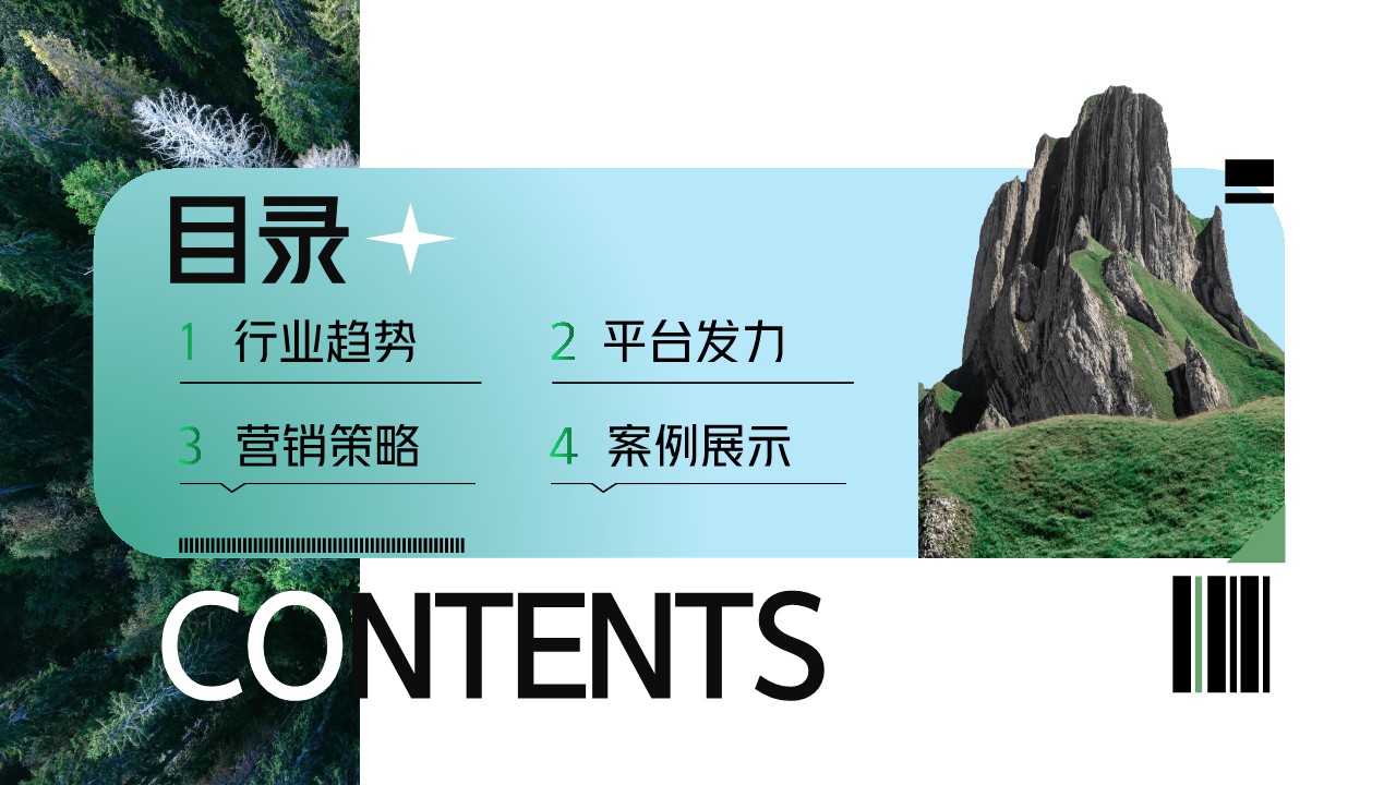 去哪儿2024年营销通案 第2页