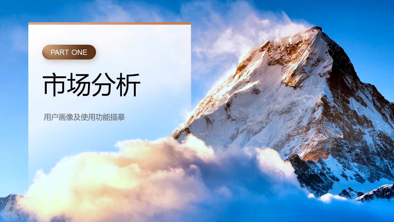 老年纸尿裤品牌渠道营销方案【种草营销】 第3页