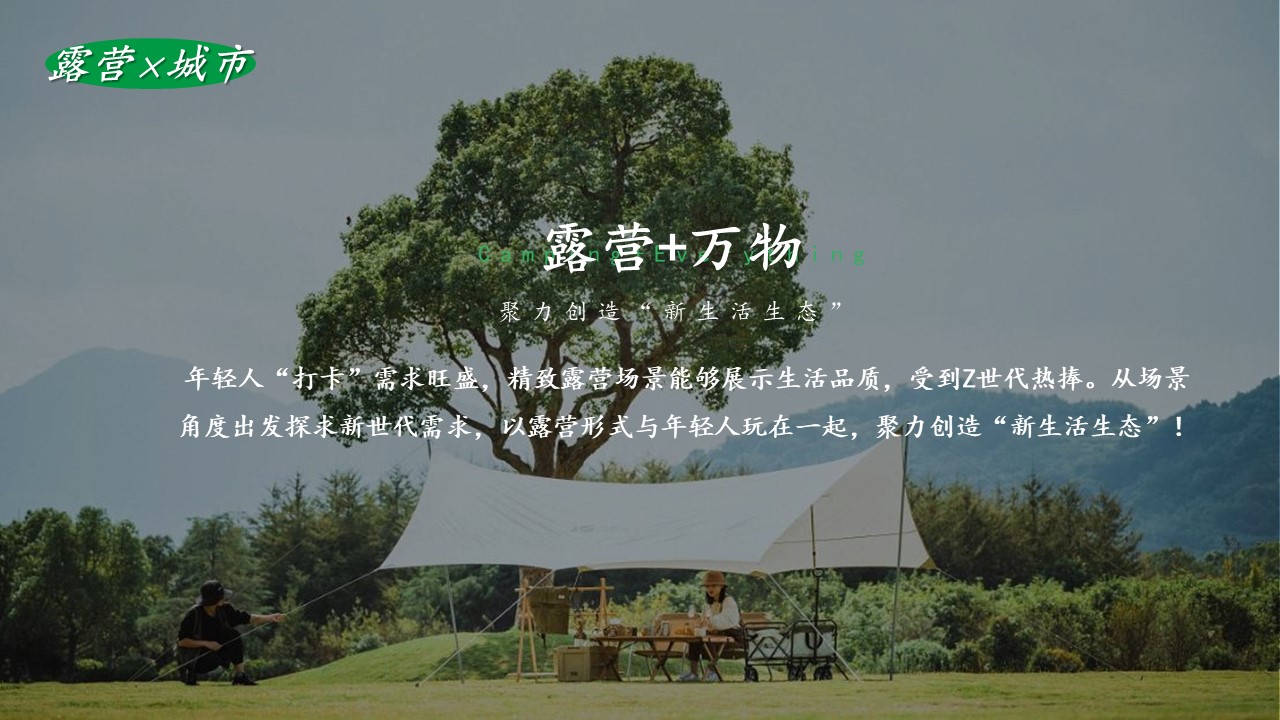 2024文旅项目&ldquo;城市露营唤醒计划&rdquo;活动策划方案【五一活动】 第2页