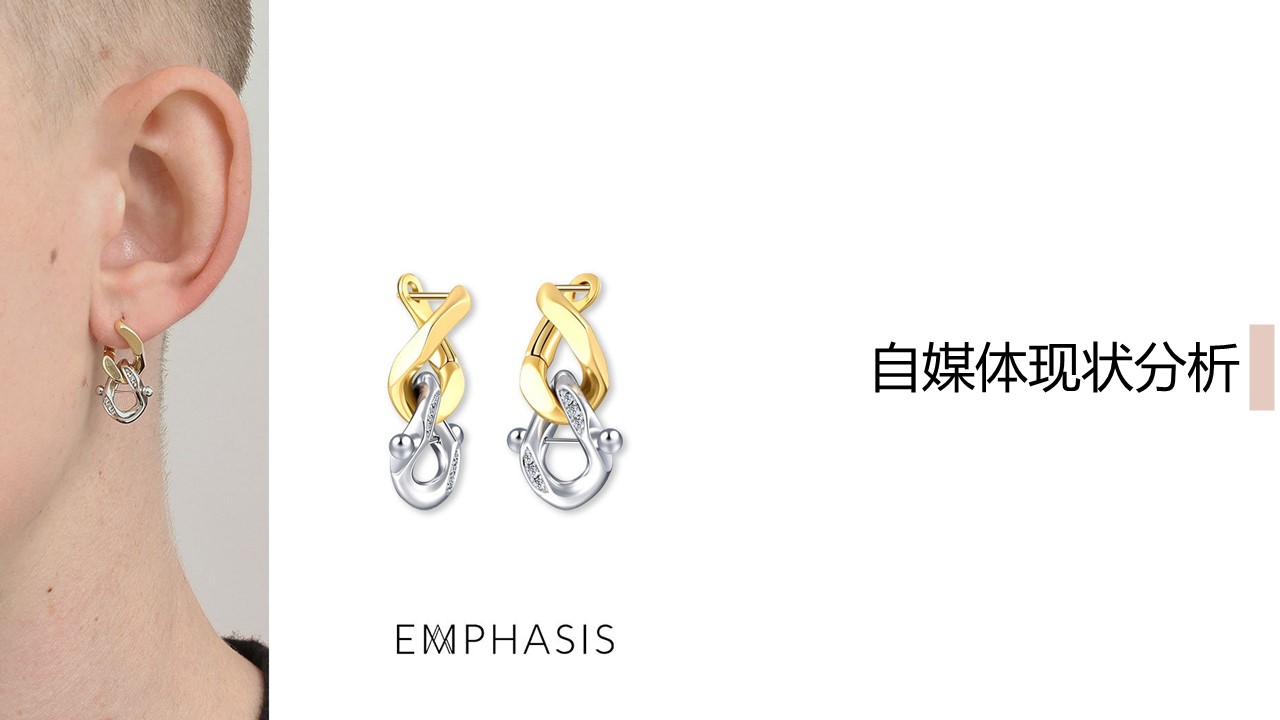 轻奢珠宝品牌小红书企业号运营方案【种草营销】 第2页