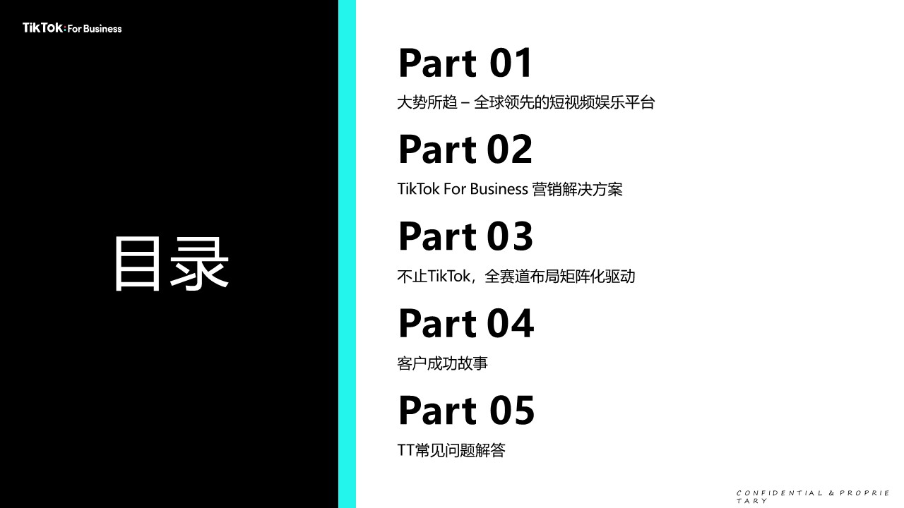 TikTok For Business营销通案【跨境电商】【互联网】【通案】 第2页