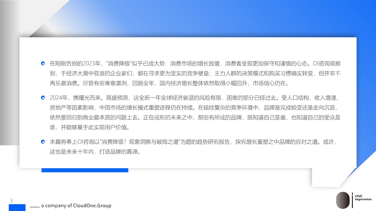 2024消费降级-现象洞察与破局之道 第3页