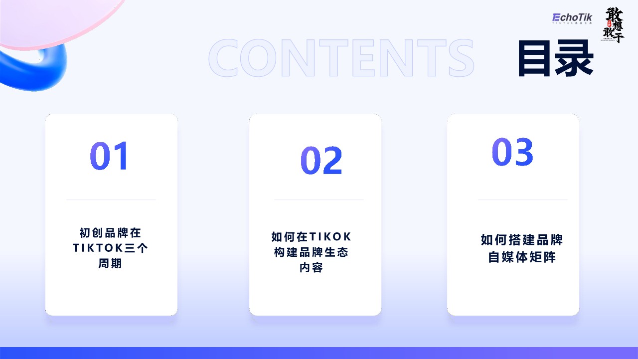 2024出海品牌如何在TikTOK实现高效传播报告 第2页