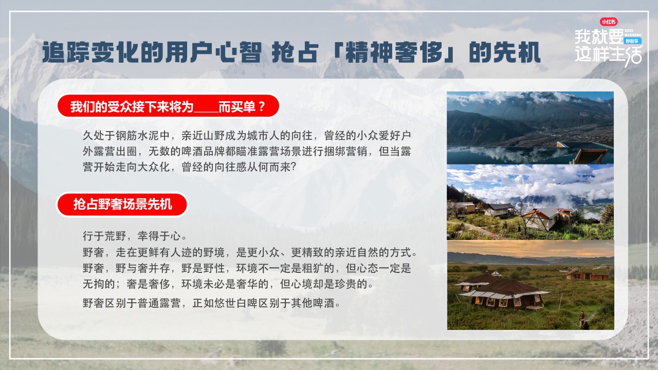 小红书我就要这样生活野奢季营销通案 第2页
