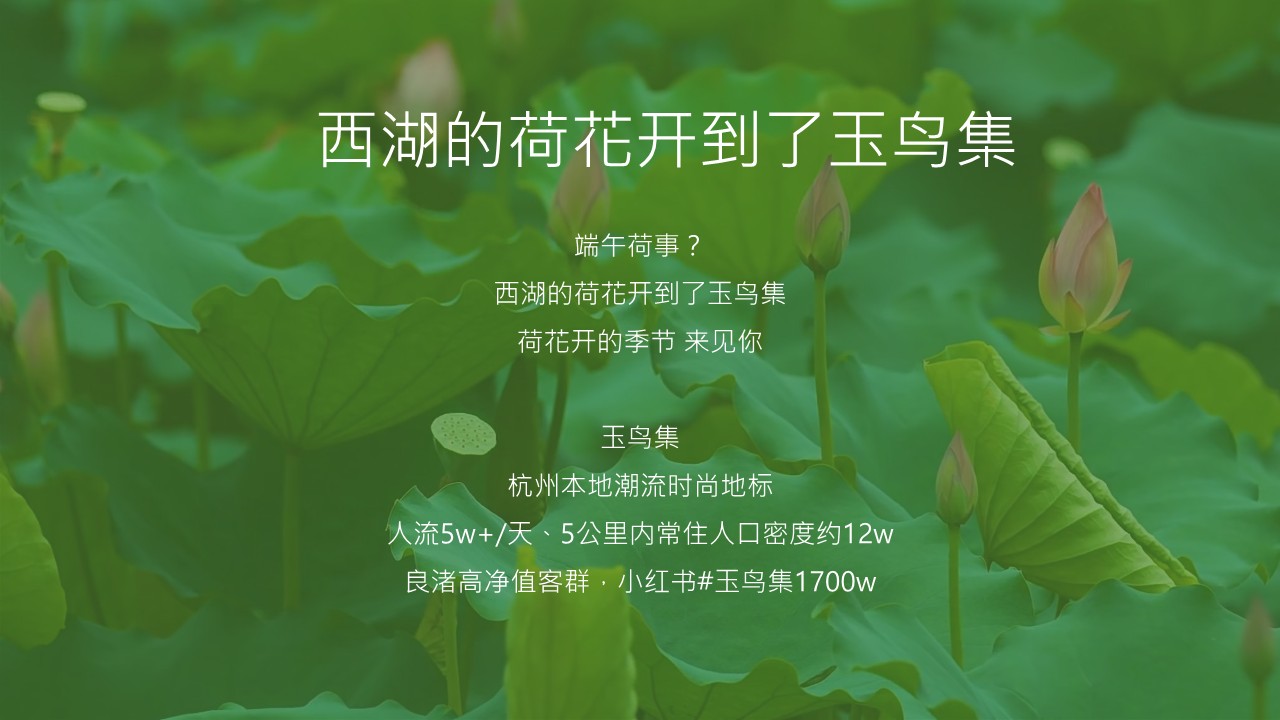 夏日好荷市端午限定荷主题市集活动策划案【端午节活动】 第2页
