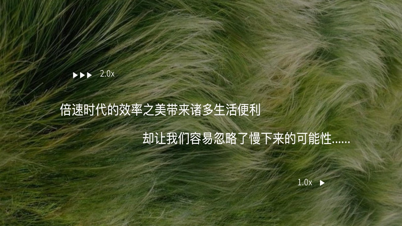 夏日好荷市端午限定荷主题市集活动策划案【端午节活动】 第3页