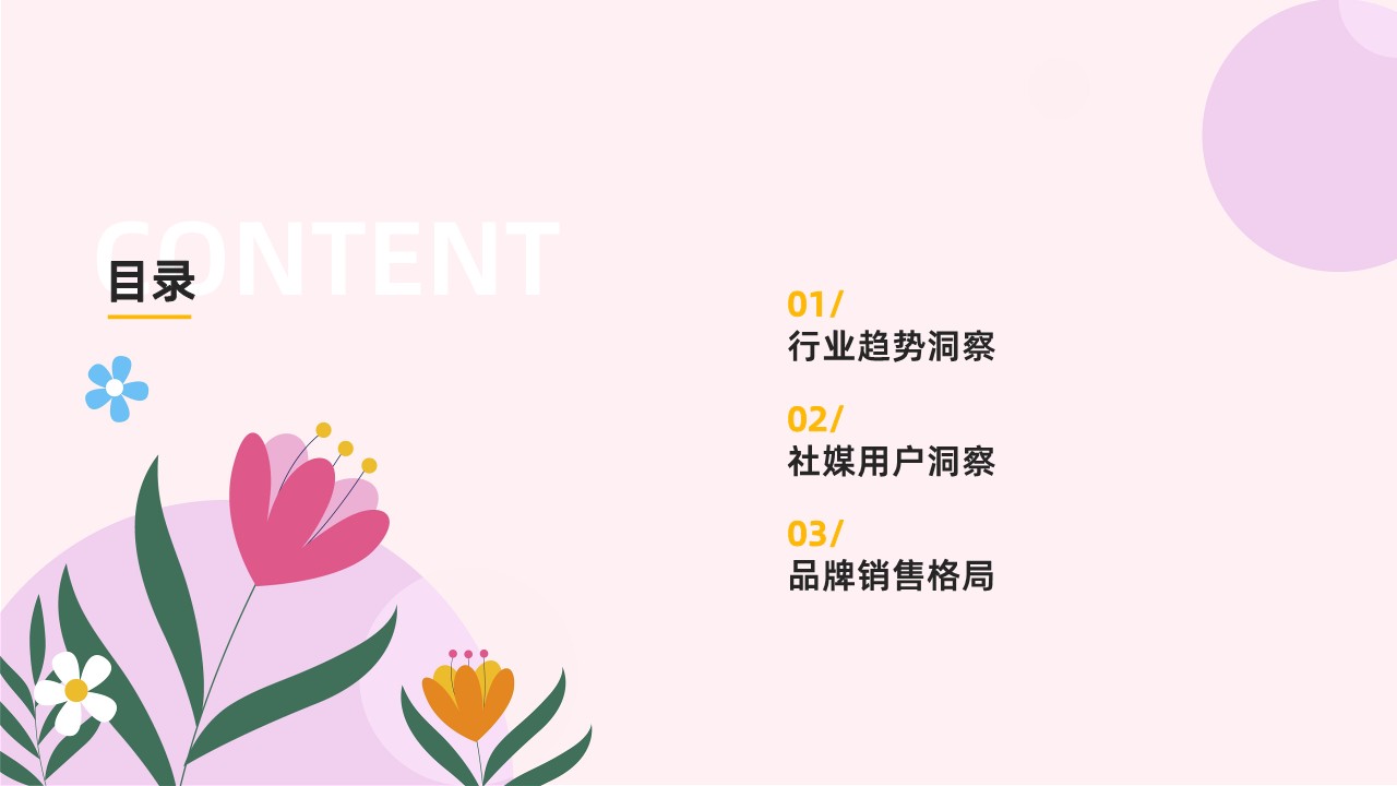 2024年Q1抖音女性卫生用品行业趋势洞察-果集行研 第3页