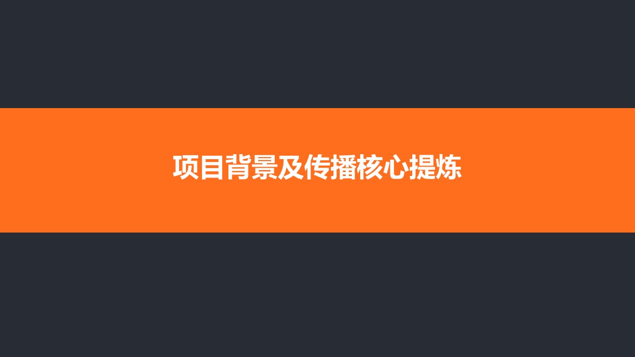 小米总裁卢伟冰直播首秀传播方案 第3页