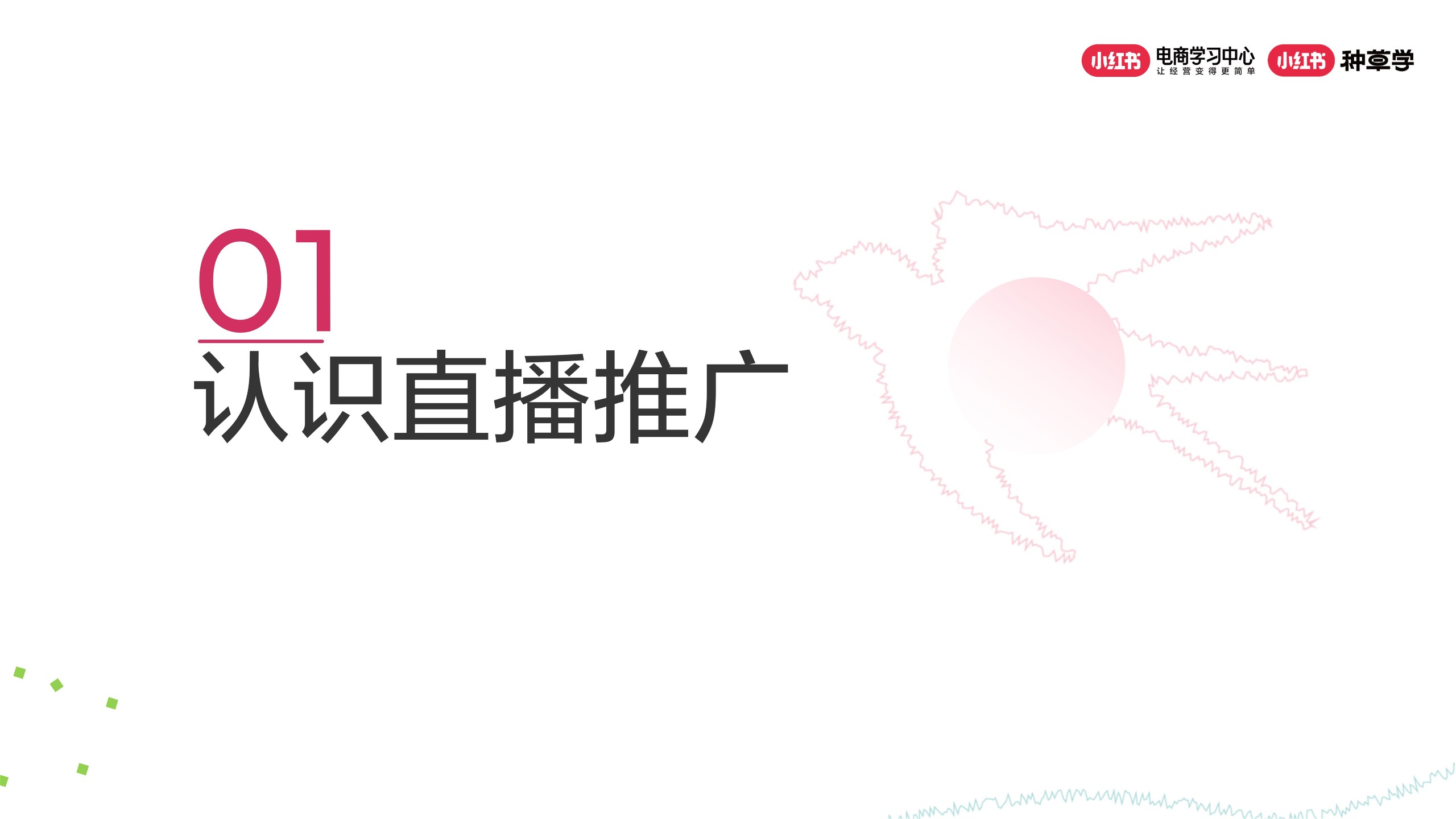 小红书电商直播推广策略解码 第3页