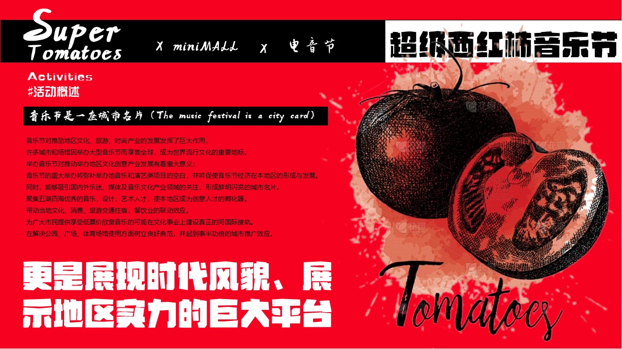 &ldquo;超级西红柿&rdquo;音乐节活动策划方案 第3页
