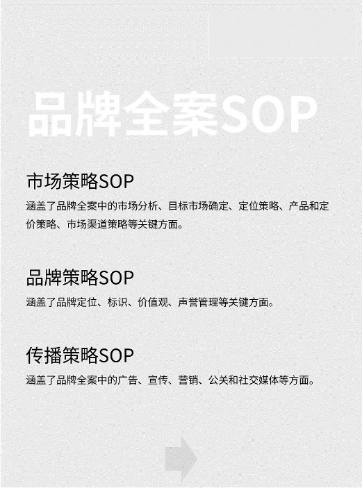 2024品牌全案策略SOP【品牌营销】【品牌战略】 第2页