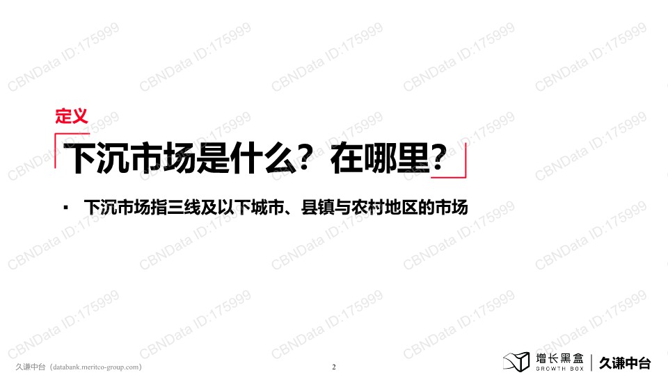 下沉消费市场研究报告【市场营销】【市场策略】 第3页