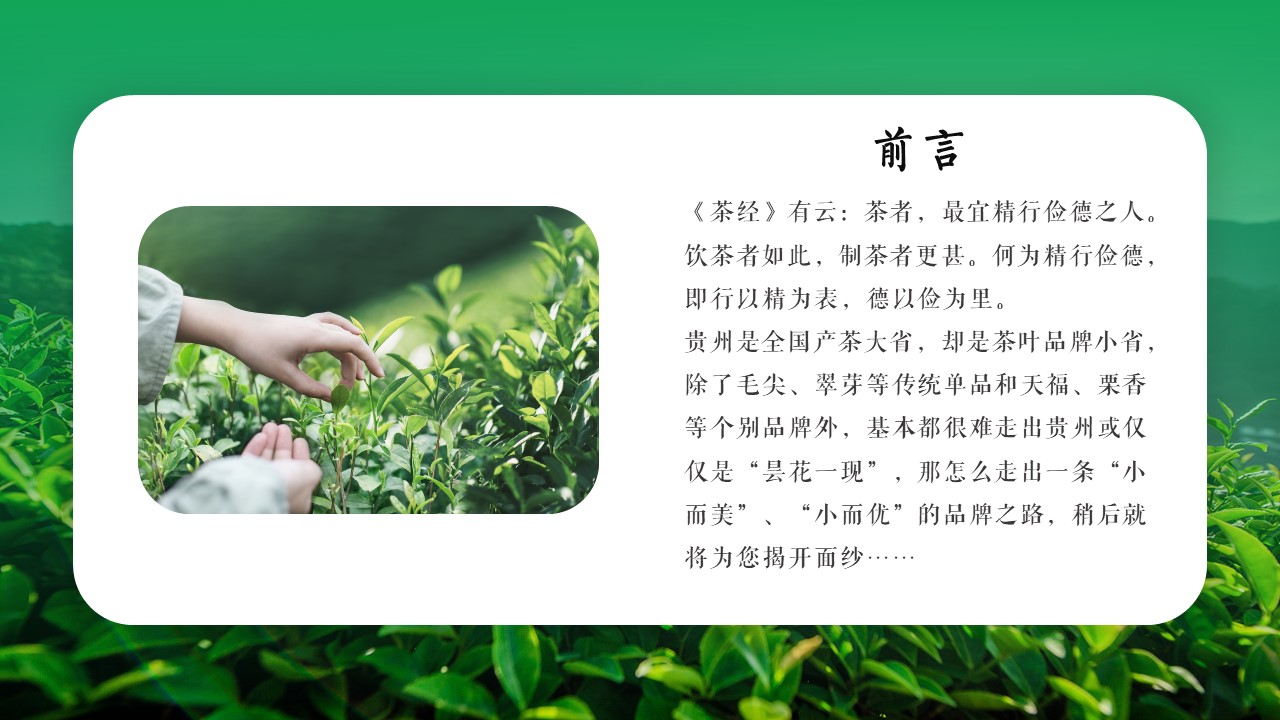 贡芽茶业运营计划书整合营销策略方案【品牌全案】 第2页