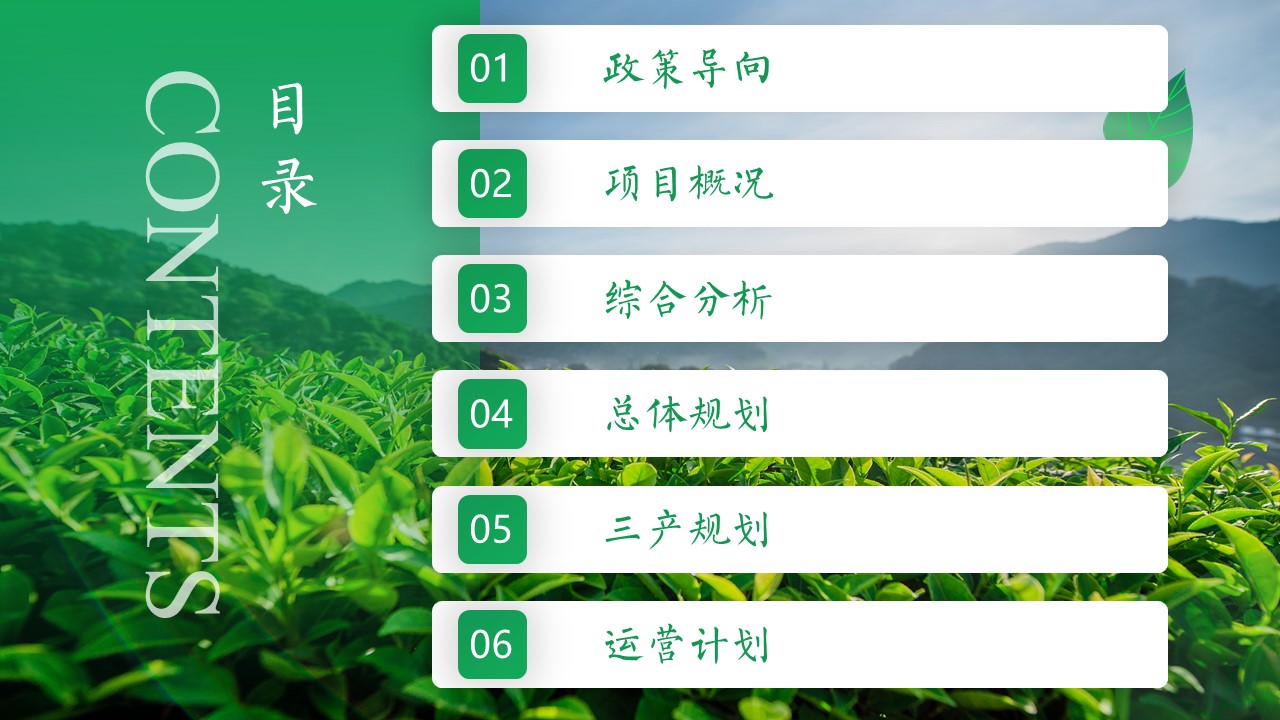 贡芽茶业运营计划书整合营销策略方案【品牌全案】 第3页