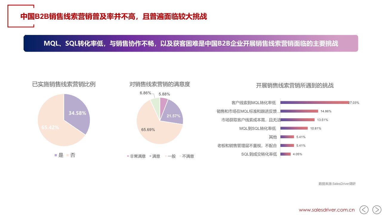 2024年AI和+销售线索营销进阶报告 第3页