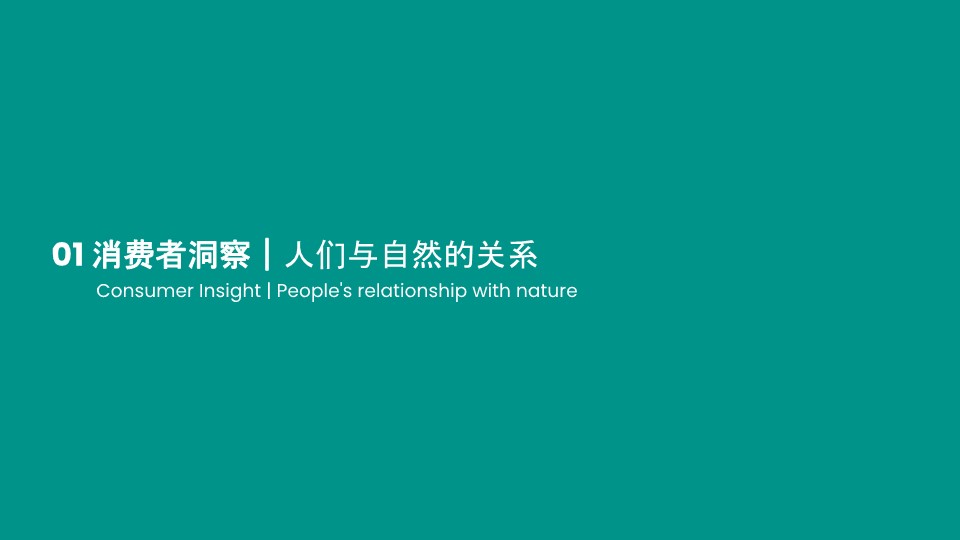 户外品牌定位方案【品牌策略】 第3页