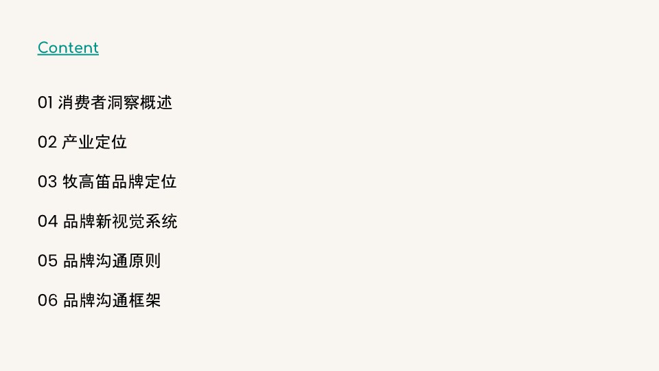 户外品牌定位方案【品牌策略】 第2页