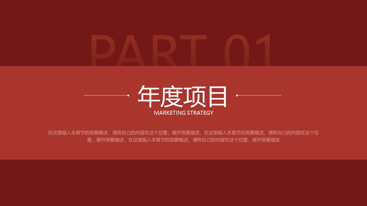 2024营销总监策略模型PPT 第3页