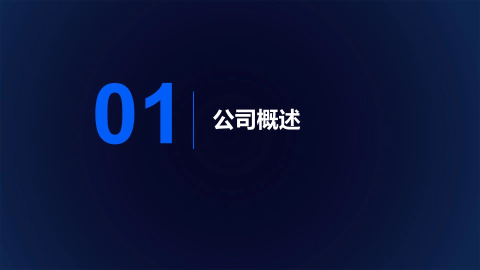 小米集团2024年半年报分析报告 第3页