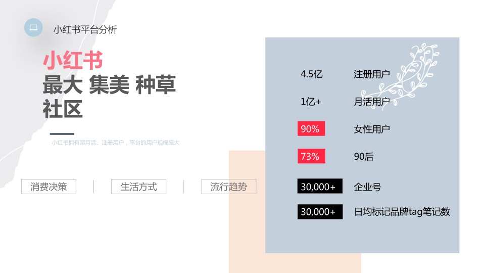 宝姐珠宝奢侈品小红书推广策划运营方案 第3页